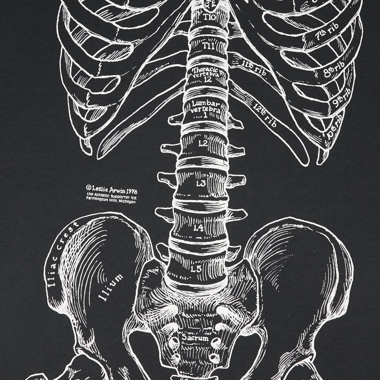 Vintage Leslie Arwin skeletal anatomy tee M