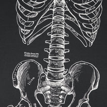 Load image into Gallery viewer, Vintage Leslie Arwin skeletal anatomy tee M
