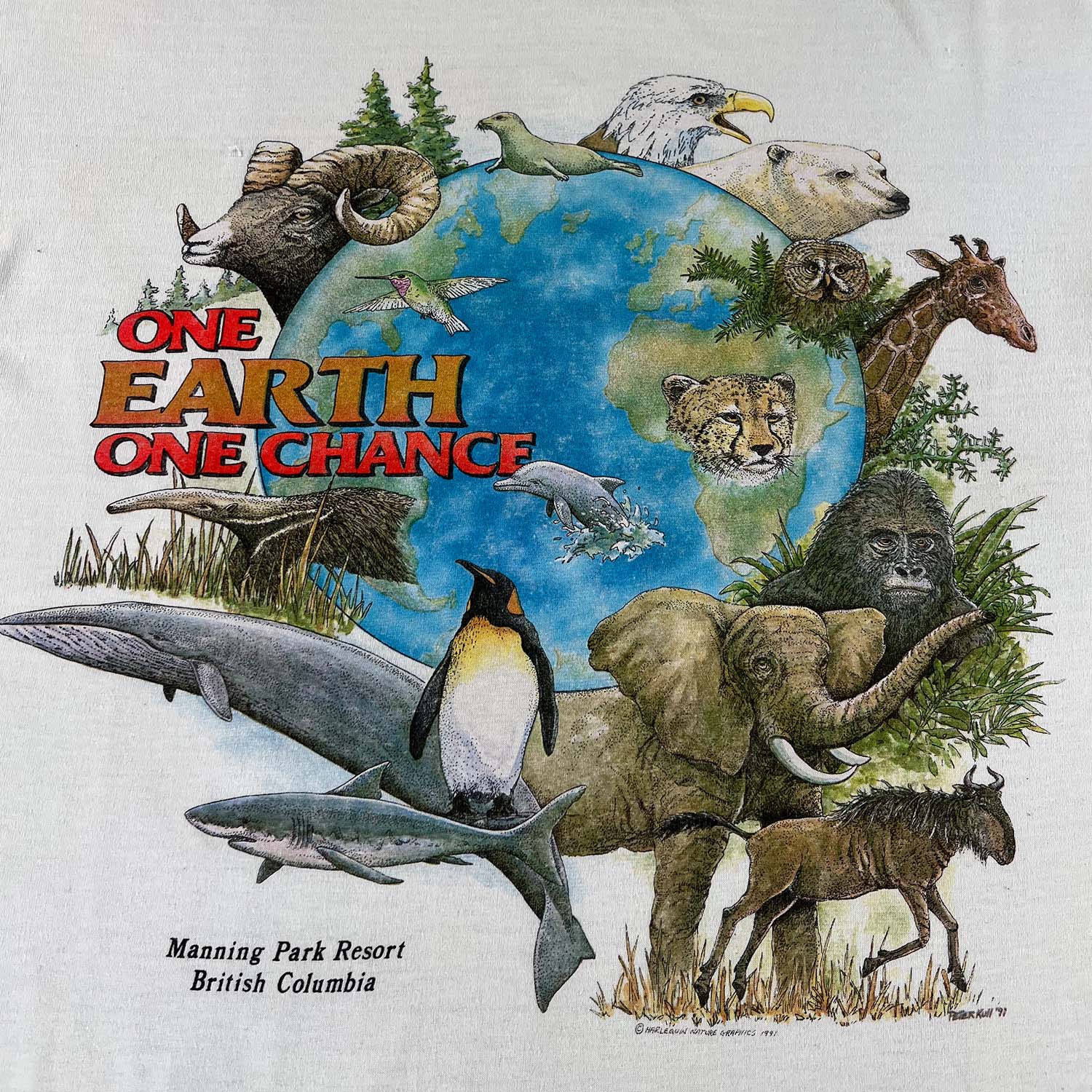 1991 One Earth One Change Harlequin tee L/XL