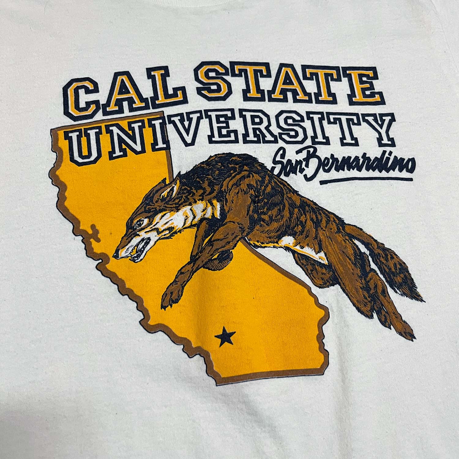 90s Cal State University tee M/L