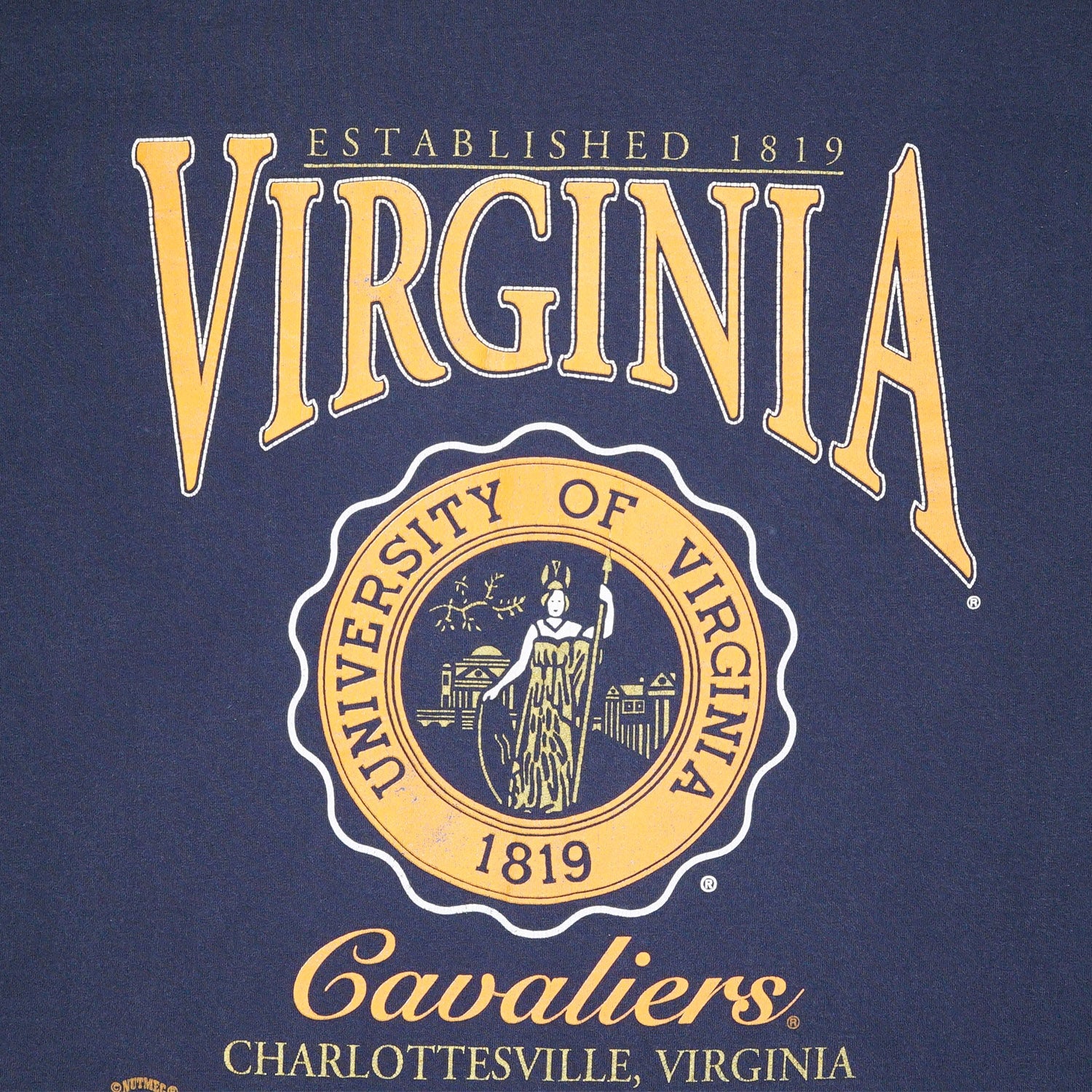Vintage University of Virginia tee L