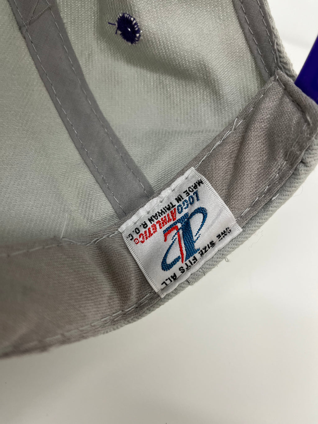 Vintage Toronto Raptors BNWT snapback