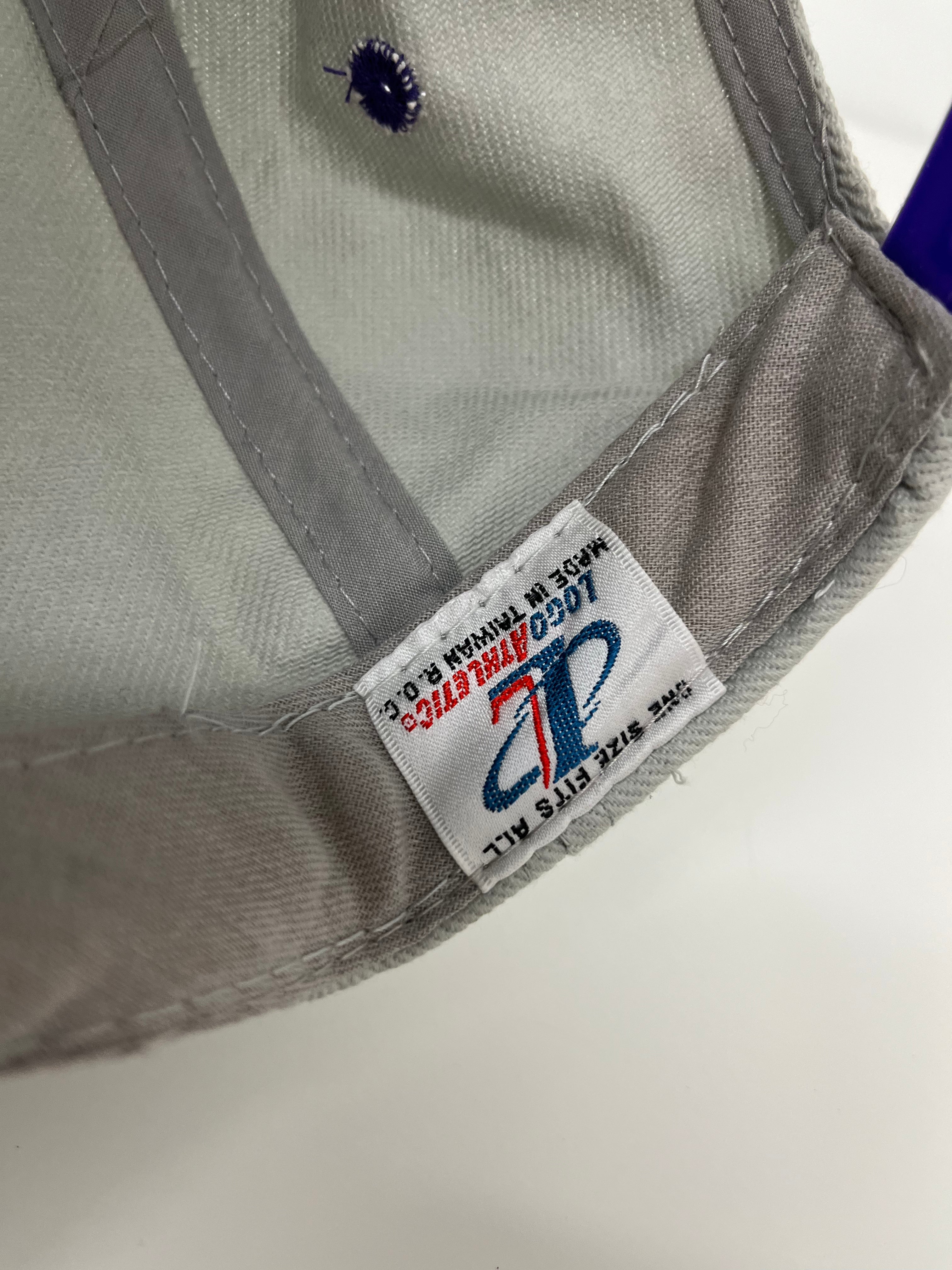 Vintage Toronto Raptors BNWT snapback