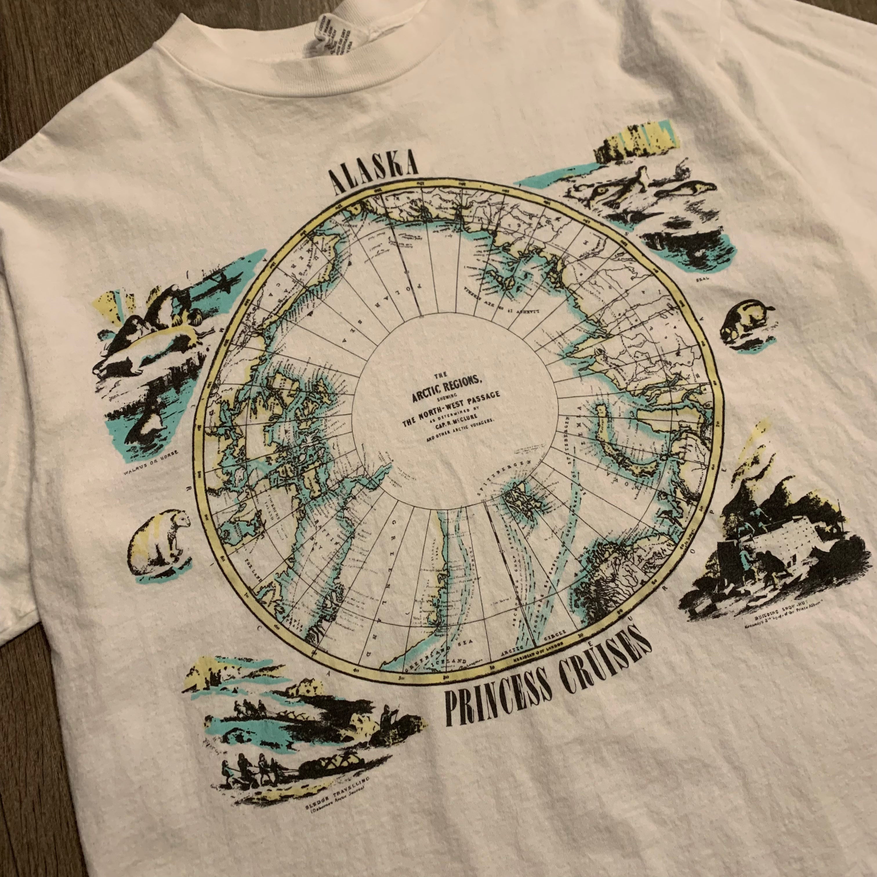 90s Alaska Compass Tee L/XL