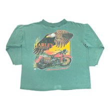 Load image into Gallery viewer, 90s Harley Davidson Immortal longsleeve L
