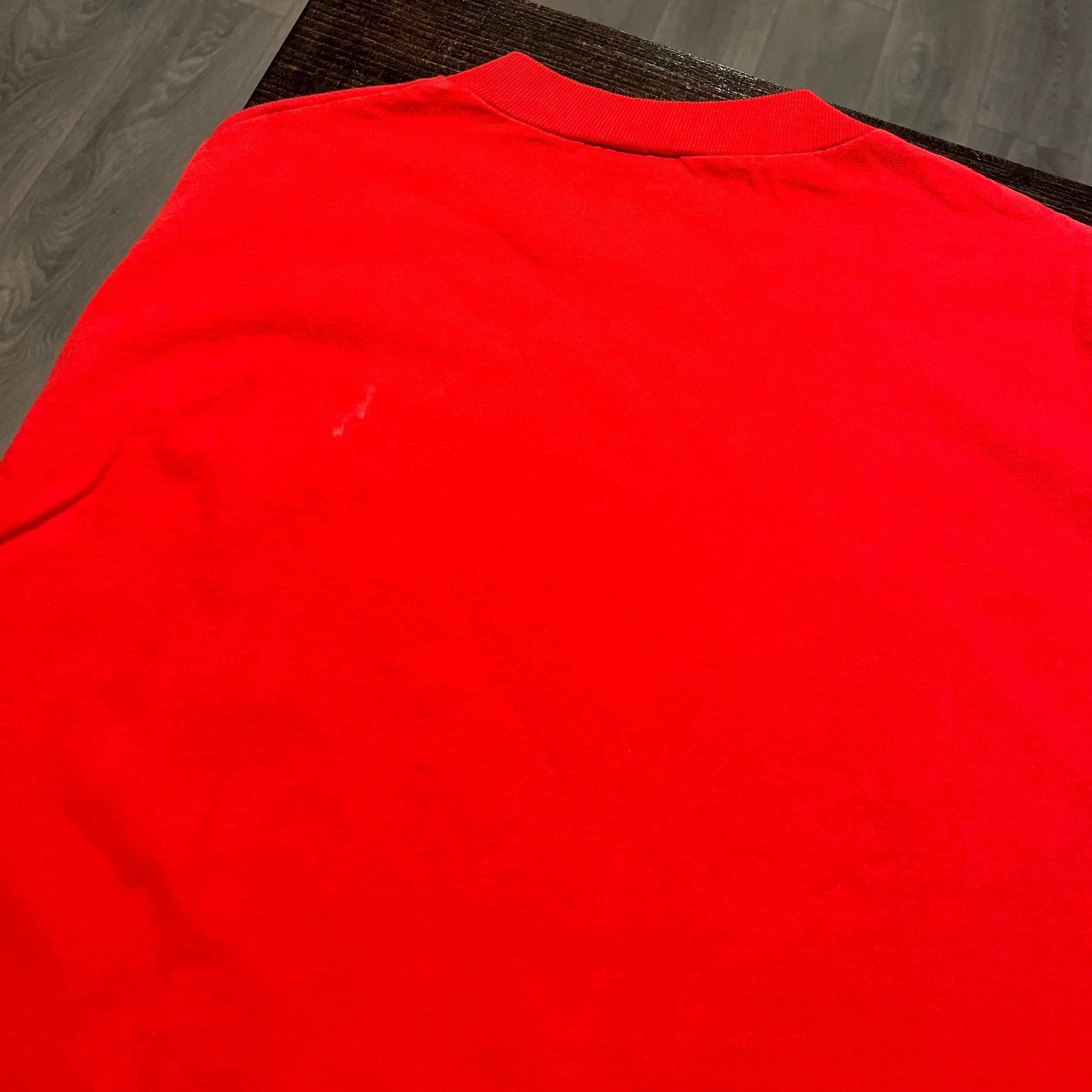 90s Detroit Red Wings Waves tee L