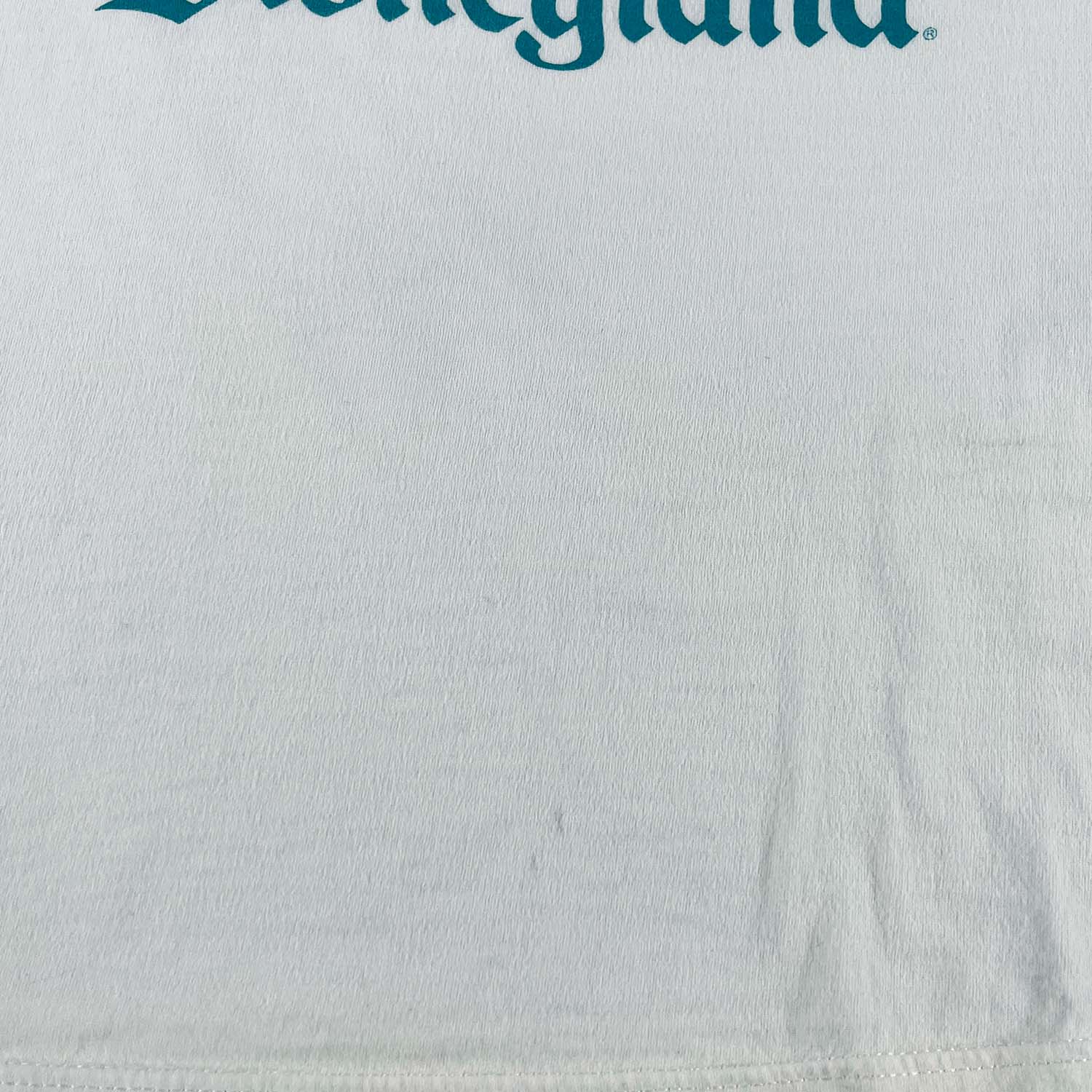 '80s Disneyland 35 year anniversary tee L