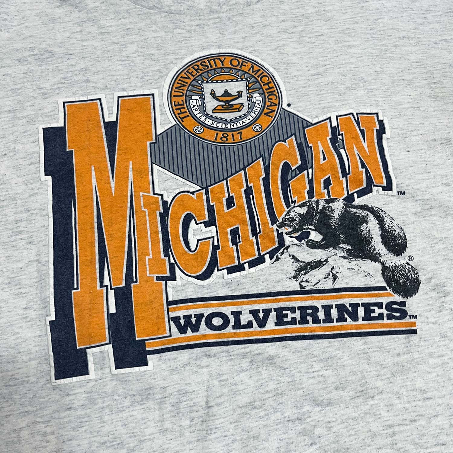 Vintage Michigan Wolverines tee L