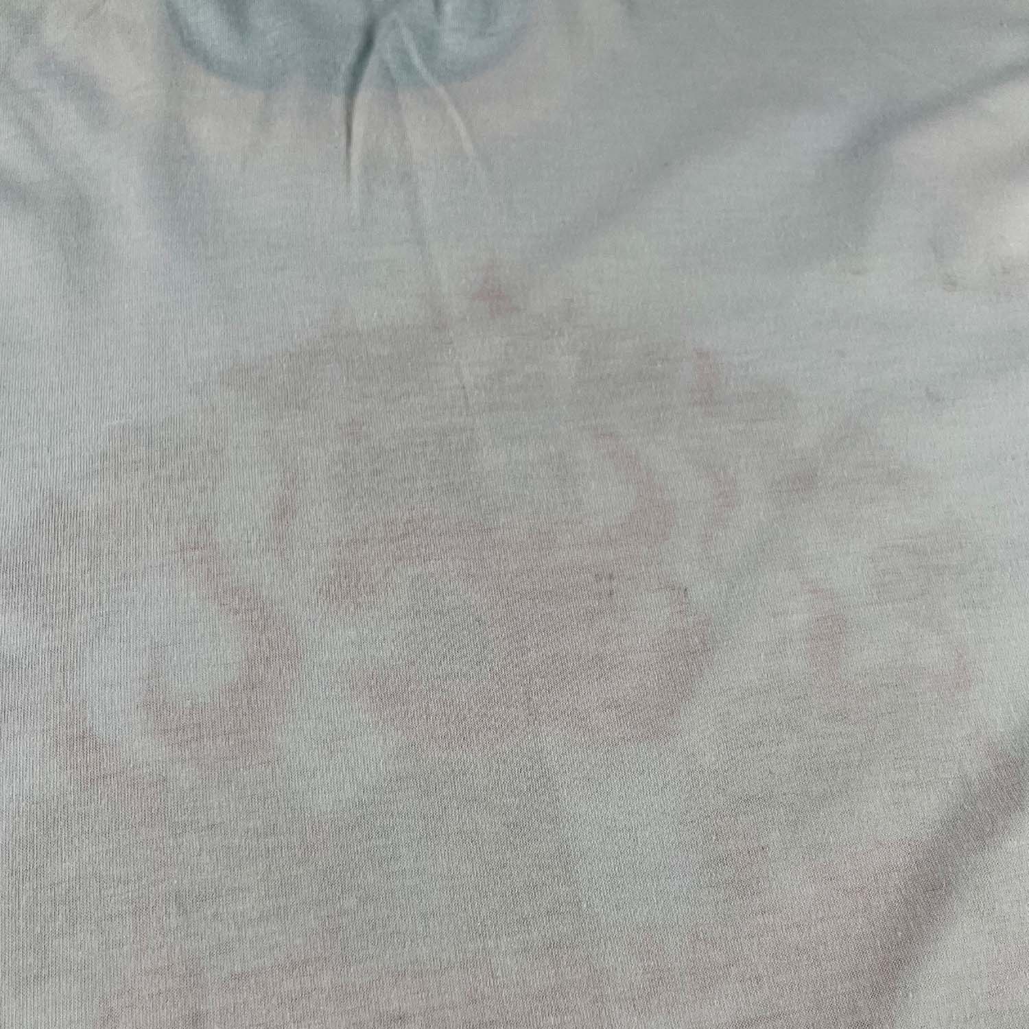 1989 Calgary Flames Stanley Cup Champs tee L