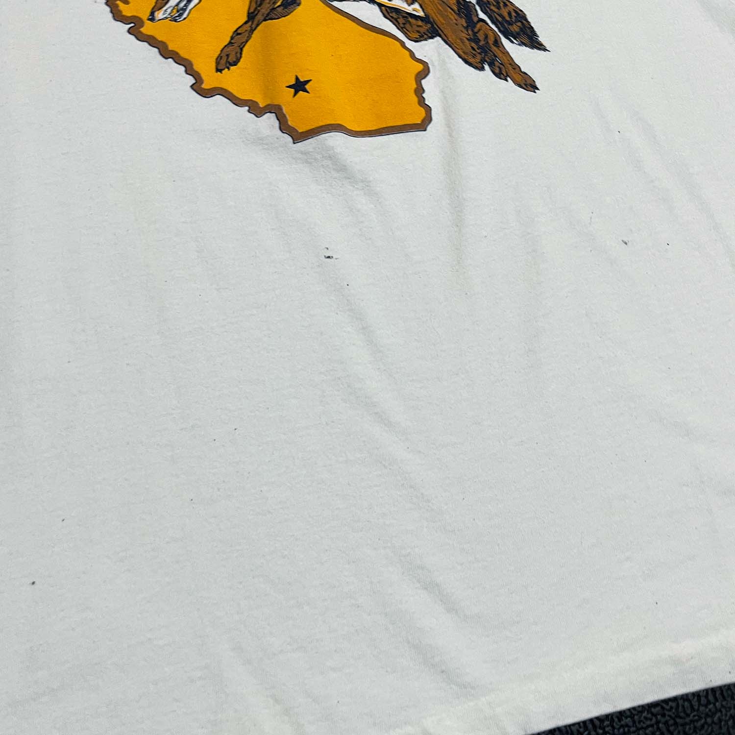 90s Cal State University tee M/L