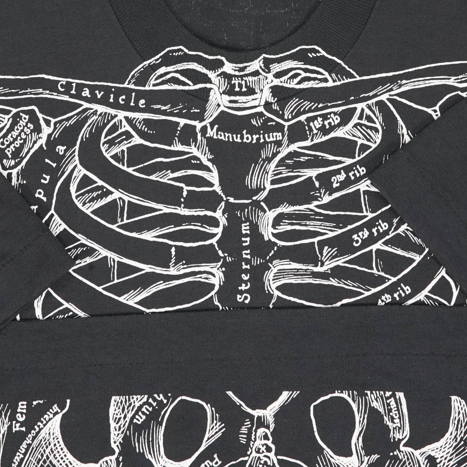 Vintage Leslie Arwin skeletal anatomy tee M
