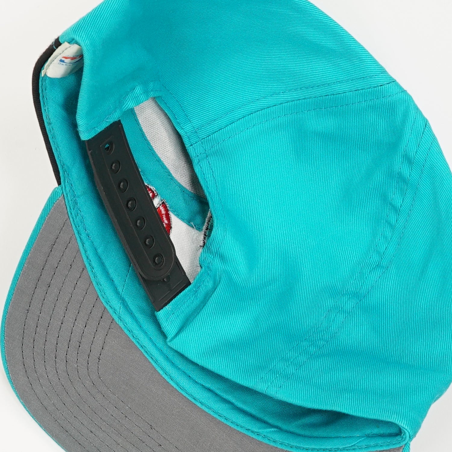 1994 Vancouver Grizzlies twins snapback
