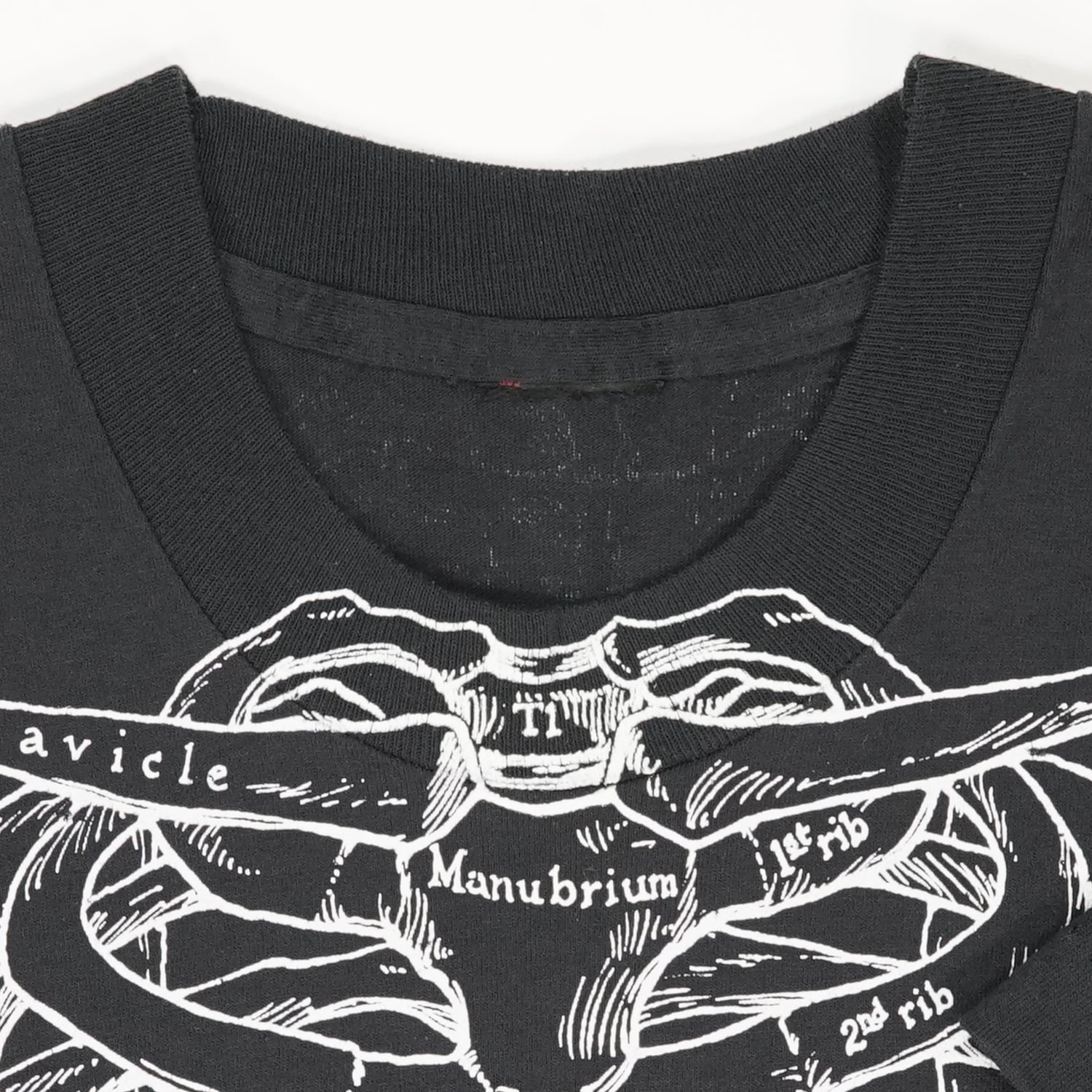 Vintage Leslie Arwin skeletal anatomy tee M