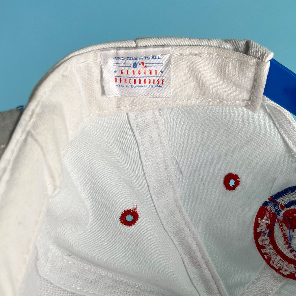 Montreal Expos Logo 7 snapback