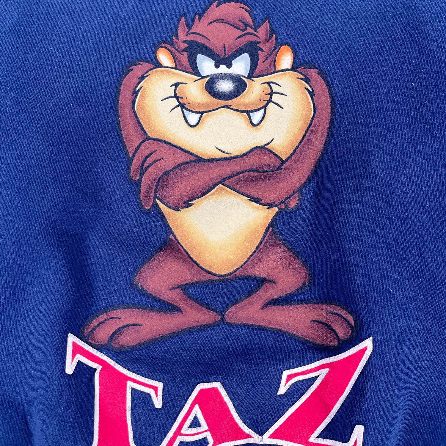 '90s Tazmanian Devil crewneck M