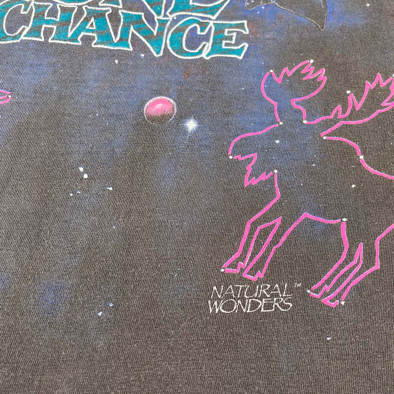 '90s One Earth faded nature tee M