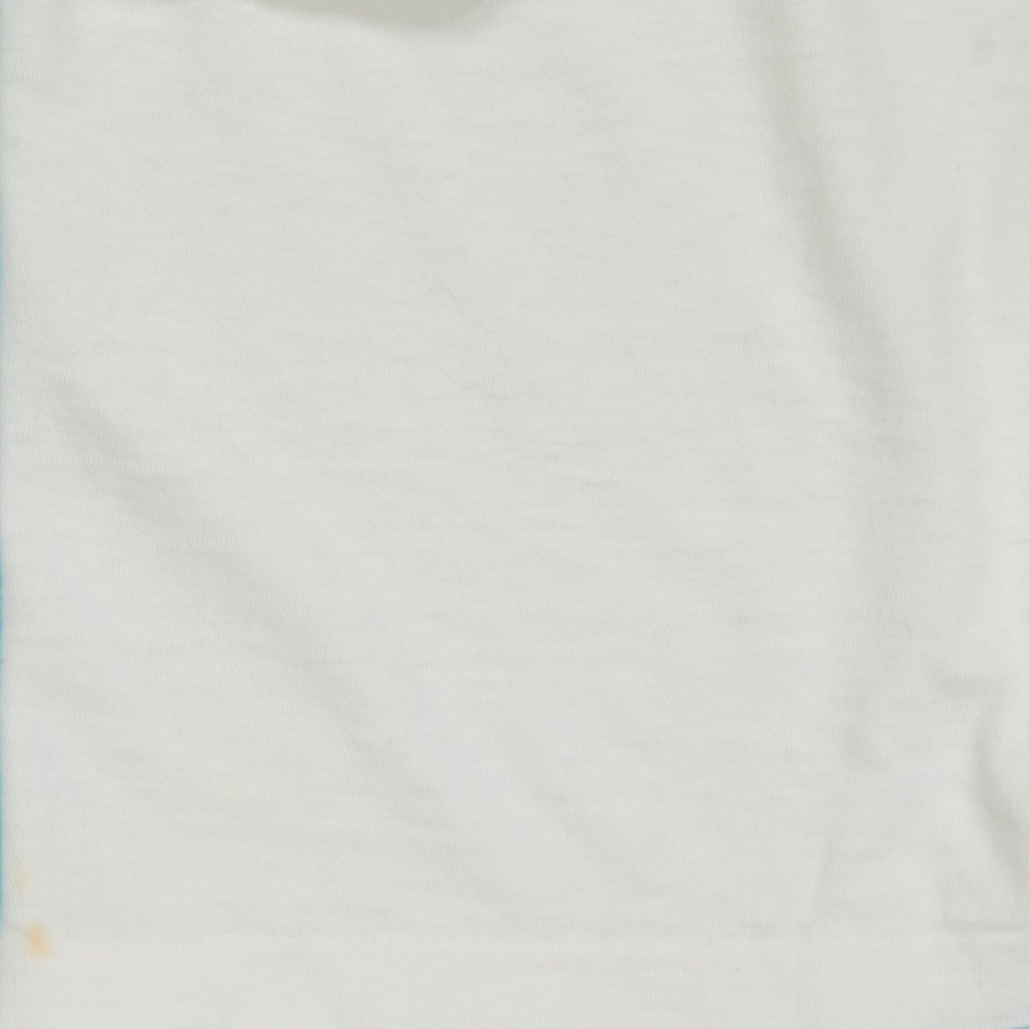 1994 BC Lions Grey Cup Champions CFL distressed tee XL